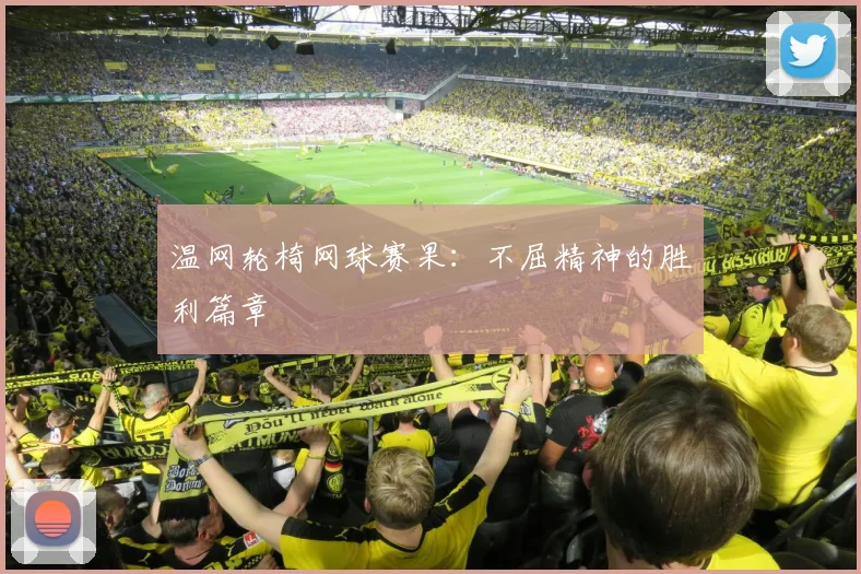 温网轮椅网球赛果:不屈精神的胜利篇章