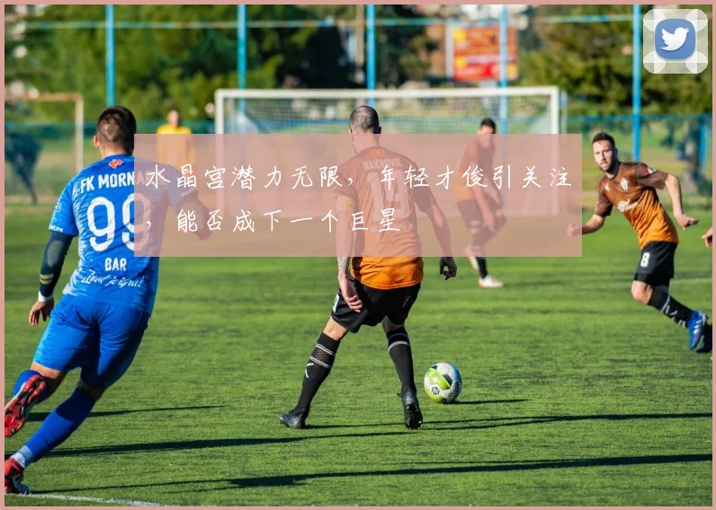 水晶宫潜力无限,年轻才俊引关注,能否成下一个巨星