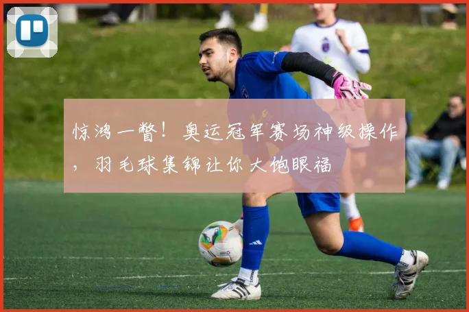 惊鸿一瞥!奥运冠军赛场神级操作,羽毛球集锦让你大饱眼福