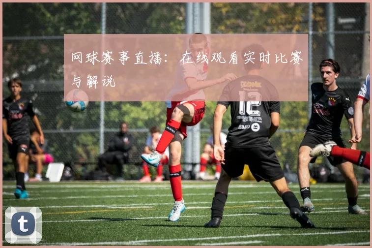 网球赛事直播：在线观看实时比赛与解说