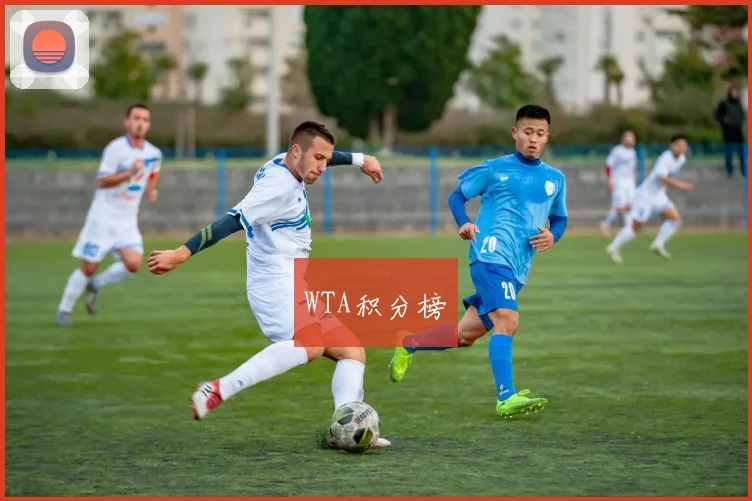 WTA积分榜