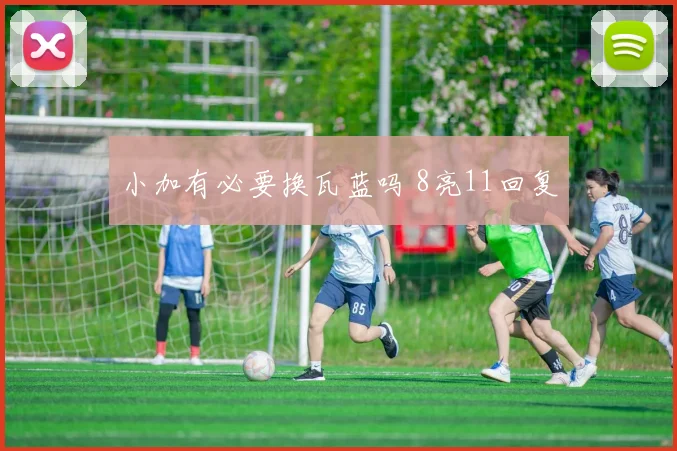 小加有必要换瓦蓝吗 8亮11回复